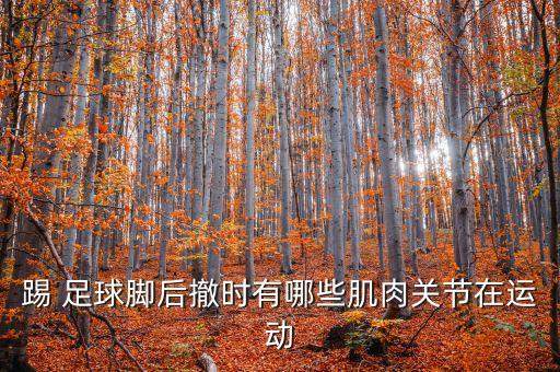 踢 足球腳后撤時有哪些肌肉關(guān)節(jié)在運(yùn)動