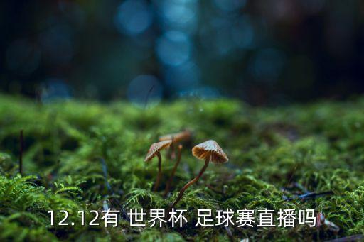 12.12有 世界杯 足球賽直播嗎