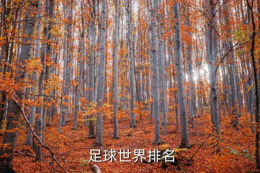  足球世界排名