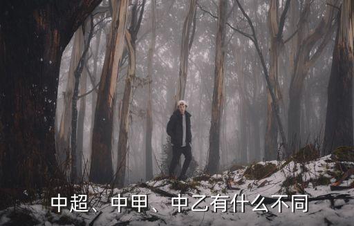  中超、中甲、中乙有什么不同