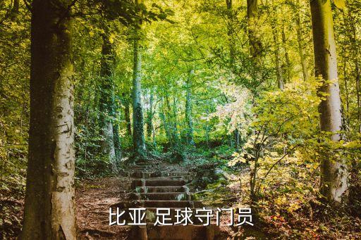 哥倫比亞 足球守門員