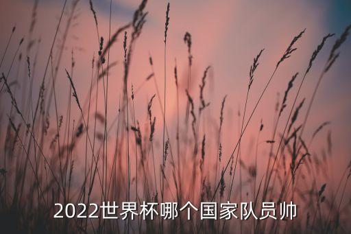 2022世界杯哪個國家隊員帥