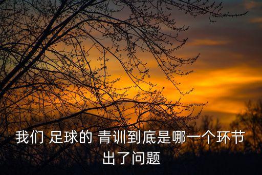 我們 足球的 青訓(xùn)到底是哪一個(gè)環(huán)節(jié)出了問(wèn)題