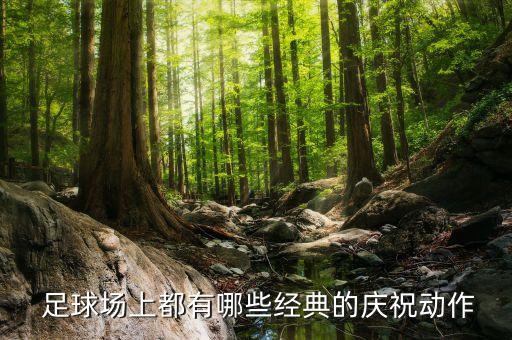 百大足球場(chǎng)盤點(diǎn),盤點(diǎn)足球場(chǎng)上的搞笑瞬間