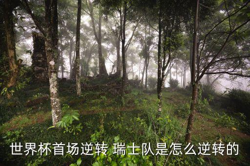 世界杯首場(chǎng)逆轉(zhuǎn) 瑞士隊(duì)是怎么逆轉(zhuǎn)的