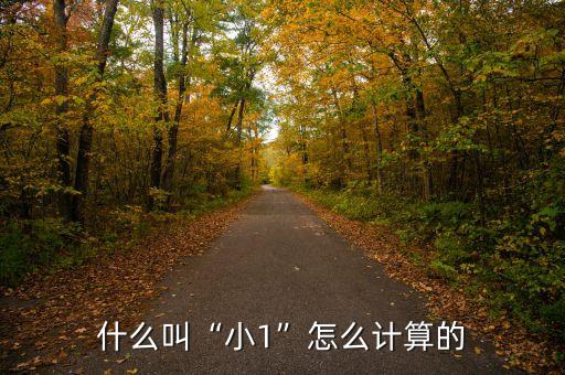 足球小比分勝,足球比分勝其他是什么意思