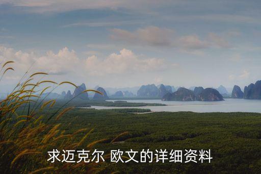 求邁克爾 歐文的詳細(xì)資料