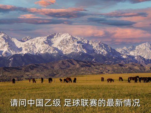 請問中國乙級 足球聯(lián)賽的最新情況