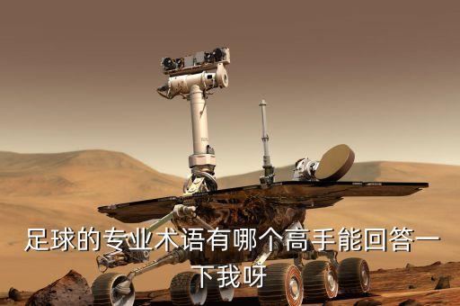  足球的專業(yè)術(shù)語有哪個高手能回答一下我呀