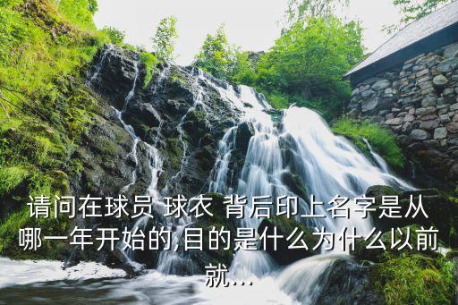 請問在球員 球衣 背后印上名字是從哪一年開始的,目的是什么為什么以前就...