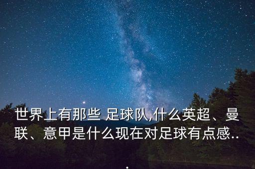 世界上有那些 足球隊(duì),什么英超、曼聯(lián)、意甲是什么現(xiàn)在對足球有點(diǎn)感...