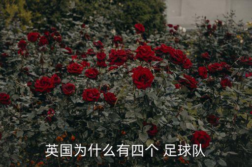 英國為什么有四個 足球隊