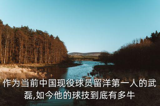 作為當(dāng)前中國現(xiàn)役球員留洋第一人的武磊,如今他的球技到底有多牛