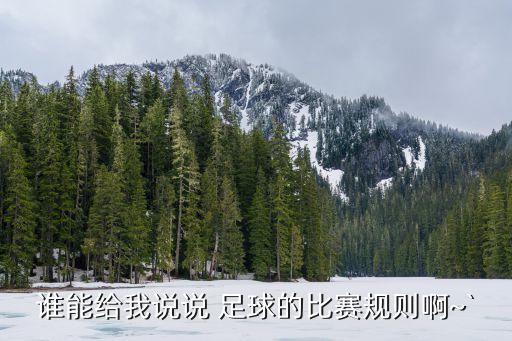 足球主裁判要全場(chǎng)跑嗎