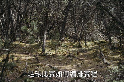 足球單循環(huán)賽積分表,羽毛球循環(huán)賽積分表怎么填寫
