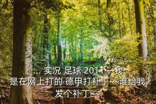 ... 實況 足球 2011~~我是在網(wǎng)上打的 德甲打補丁~~誰給我發(fā)個補丁~~