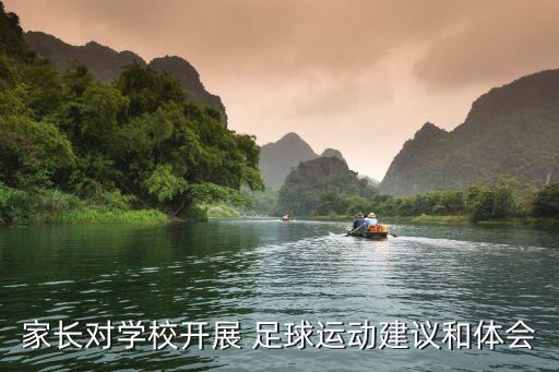 家長對學(xué)校開展 足球運動建議和體會