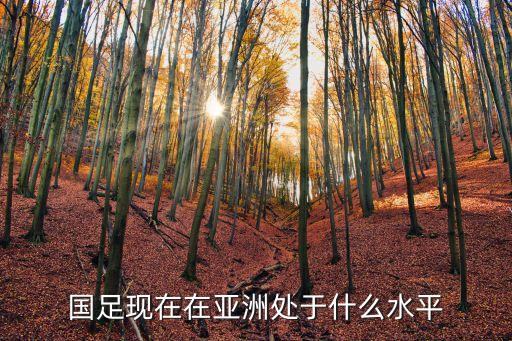 國足現(xiàn)在在亞洲處于什么水平