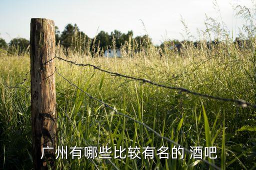  廣州有哪些比較有名的 酒吧