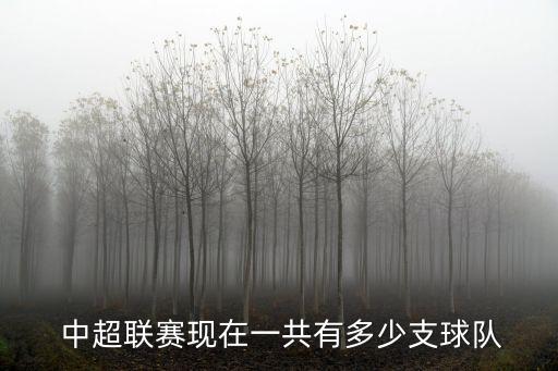  中超聯(lián)賽現(xiàn)在一共有多少支球隊