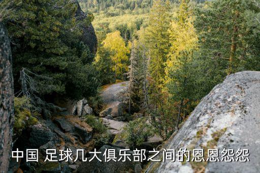 中國 足球幾大俱樂部之間的恩恩怨怨
