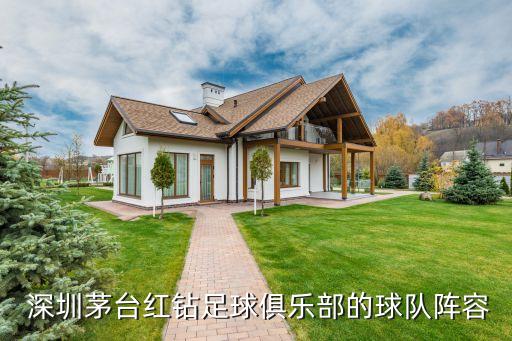 深圳足球隊杜龍泉比賽視頻