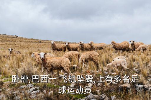 臥槽,巴西一 飛機墜毀,上有多名足球運動員