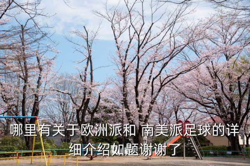 南美各足球隊(duì)特色,南美足球隊(duì)有哪些國(guó)家