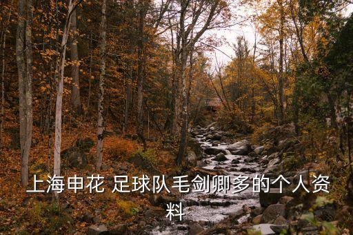  上海申花 足球隊毛劍卿多的個人資料