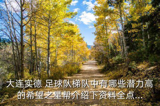 大連實德 足球隊梯隊中有哪些潛力高的希望之星幫介紹下資料全點...