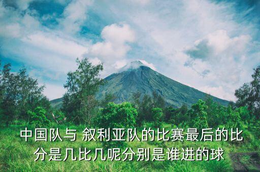  中國(guó)隊(duì)與 敘利亞隊(duì)的比賽最后的比分是幾比幾呢分別是誰(shuí)進(jìn)的球