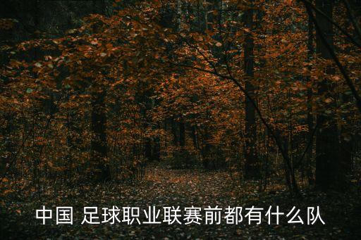 中國 足球職業(yè)聯(lián)賽前都有什么隊(duì)