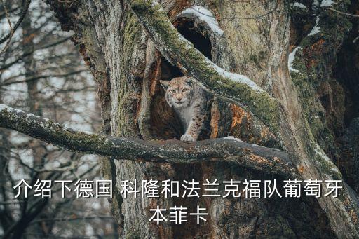 介紹下德國(guó) 科隆和法蘭克福隊(duì)葡萄牙本菲卡