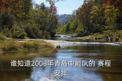 誰(shuí)知道2008年青島中能隊(duì)的 賽程安排