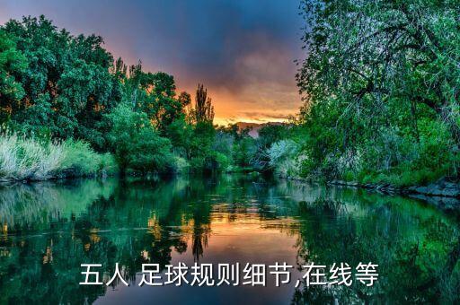 五人 足球規(guī)則細節(jié),在線等