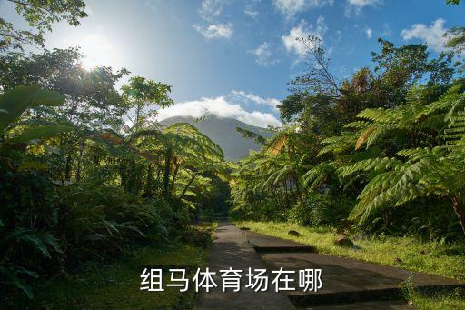 組馬體育場在哪