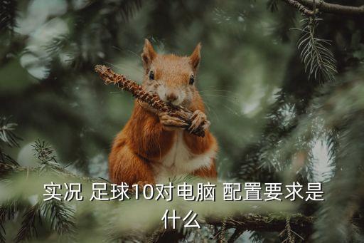  實(shí)況 足球10對(duì)電腦 配置要求是什么
