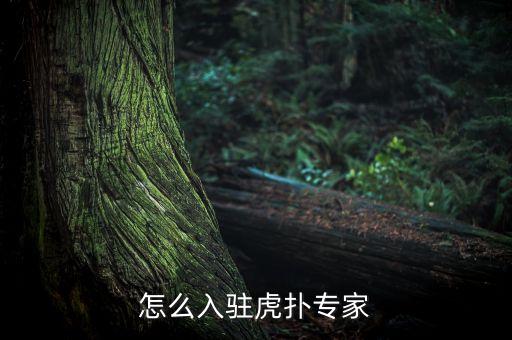 怎么入駐虎撲專家