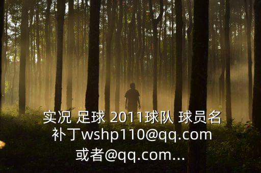 實況足球2011球員補丁