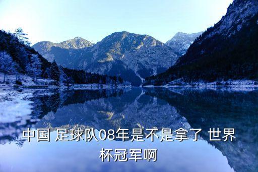 中國 足球隊08年是不是拿了 世界杯冠軍啊