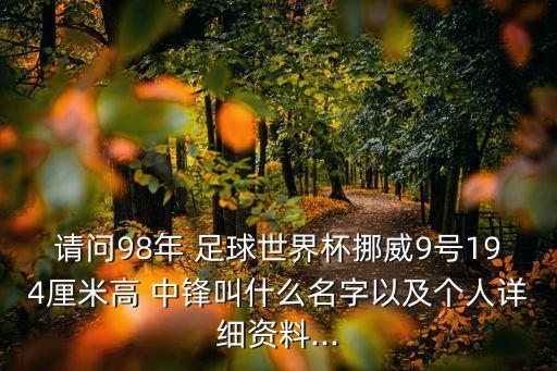 請問98年 足球世界杯挪威9號(hào)194厘米高 中鋒叫什么名字以及個(gè)人詳細(xì)資料...
