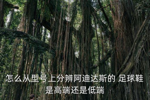 怎么從型號(hào)上分辨阿迪達(dá)斯的 足球鞋是高端還是低端