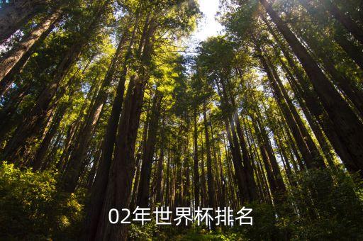 02年世界杯排名