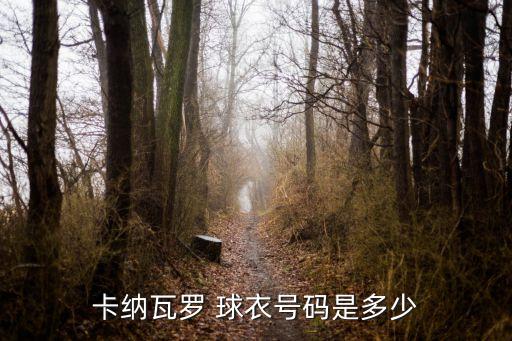 足球隊長球衣,足球十大最漂亮的球衣