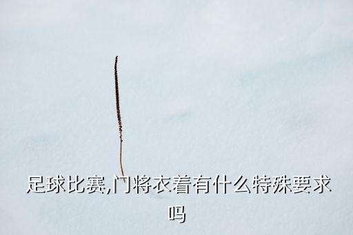  足球比賽,門將衣著有什么特殊要求嗎