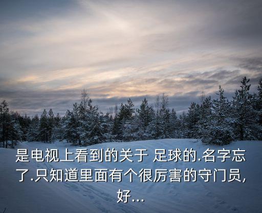 是電視上看到的關(guān)于 足球的.名字忘了.只知道里面有個(gè)很厲害的守門員,好...