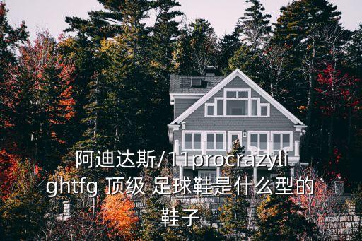 阿迪達(dá)斯/11procrazylightfg 頂級(jí) 足球鞋是什么型的鞋子