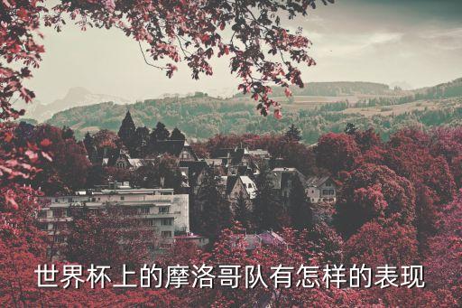 世界杯上的摩洛哥隊有怎樣的表現(xiàn)