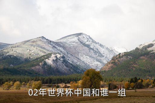 02年世界杯中國(guó)和誰(shuí)一組