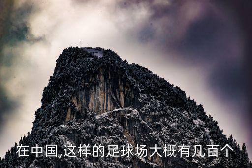 在中國(guó),這樣的足球場(chǎng)大概有幾百個(gè)